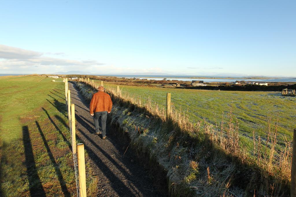 Beezies Self Catering Cottages Grange  Bagian luar foto